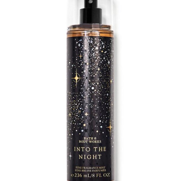 Into The Night Bath and Body Works